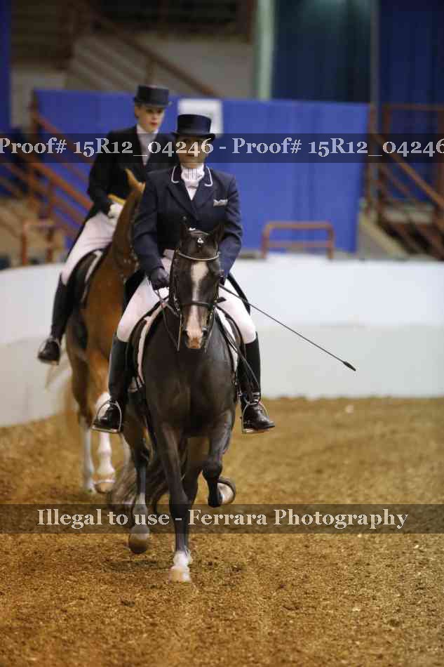 Proof 15R12_04246