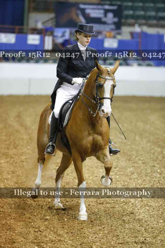 Proof 15R12_04247