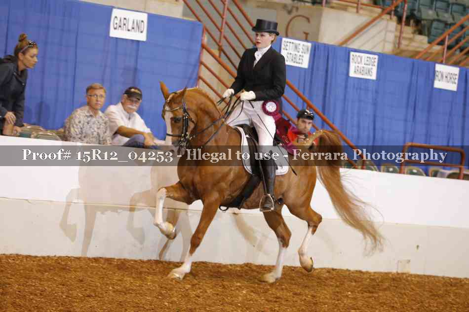 Proof 15R12_04253