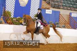 15R12_04254 proof