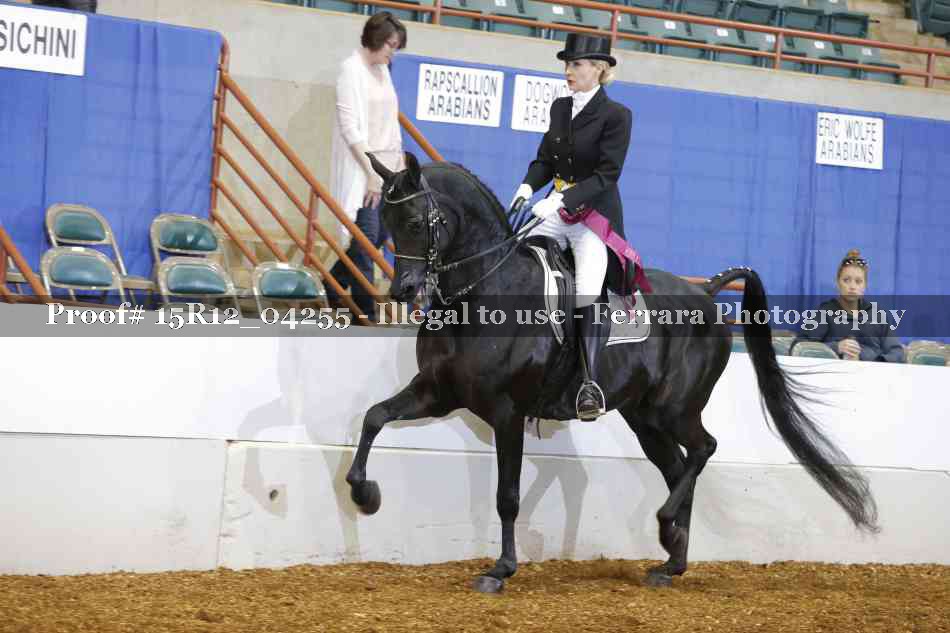 Proof 15R12_04255