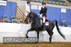 15R12_04255 proof