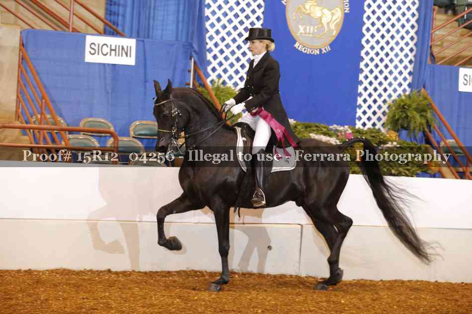 Proof 15R12_04256