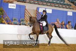 15R12_04257 proof
