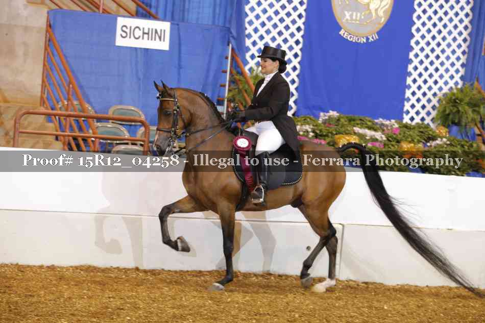 Proof 15R12_04258