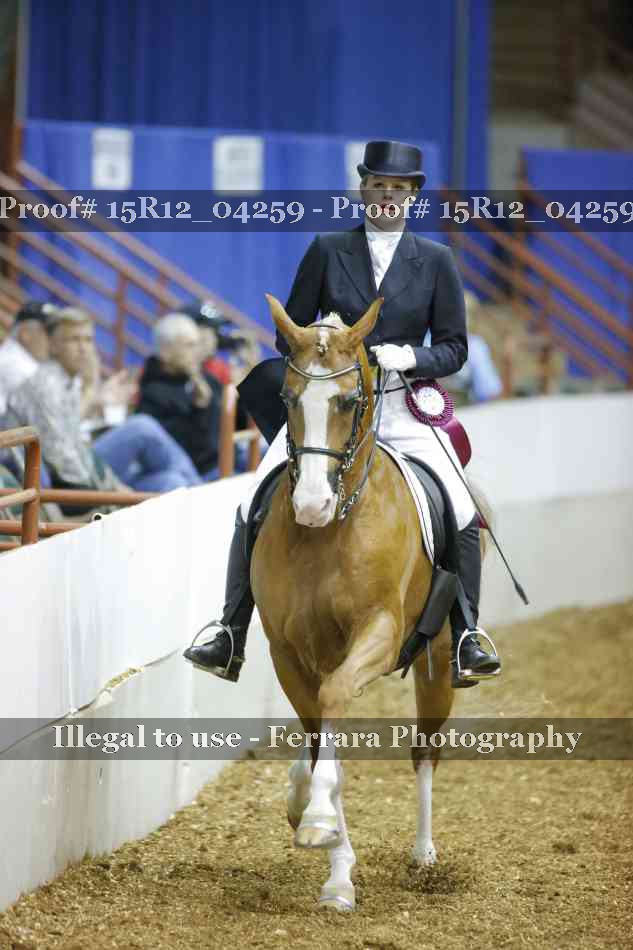 Proof 15R12_04259