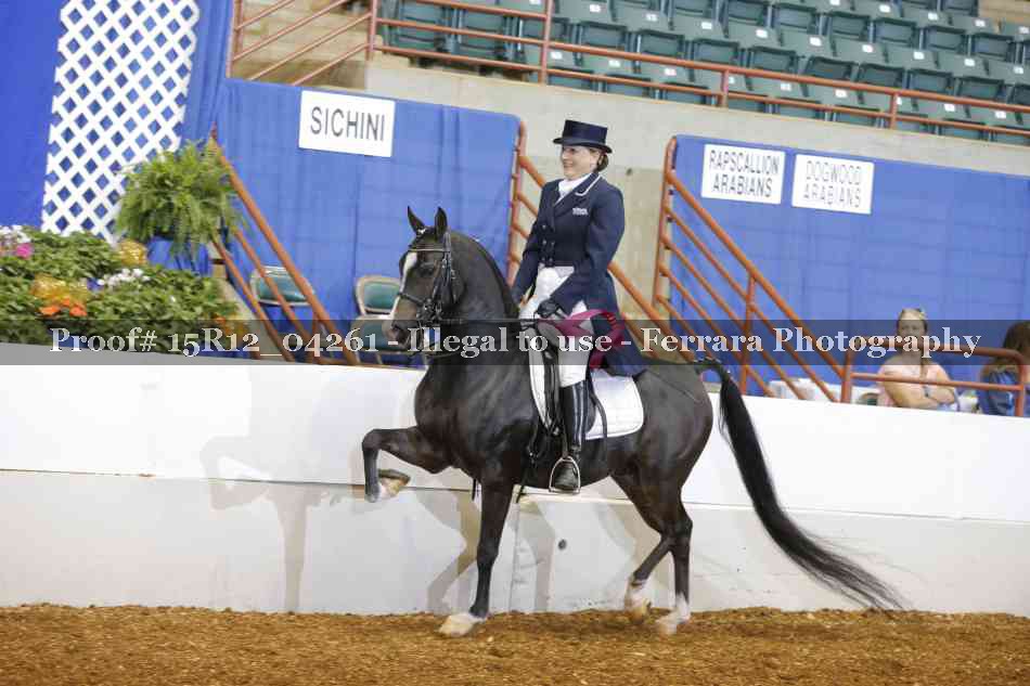 Proof 15R12_04261