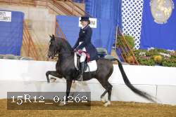 15R12_04262 proof