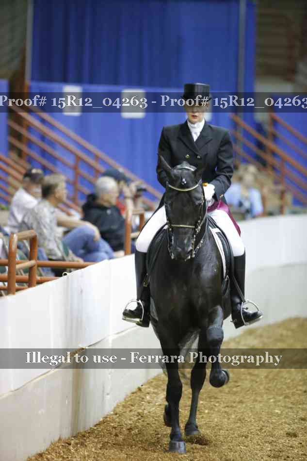 Proof 15R12_04263