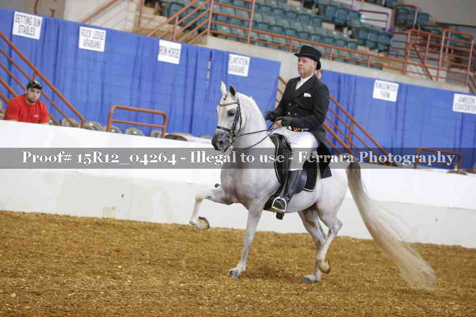 Proof 15R12_04264