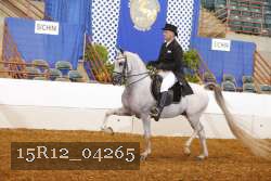 15R12_04265 proof