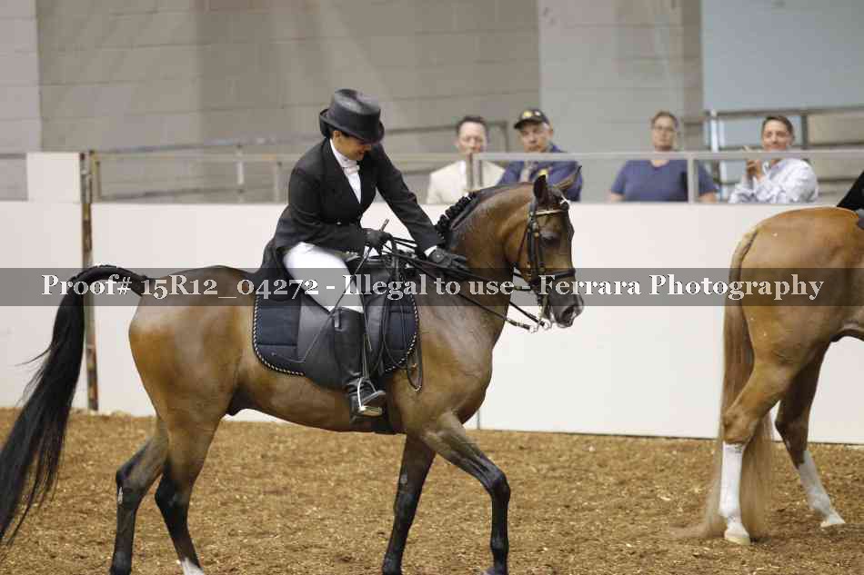 Proof 15R12_04272