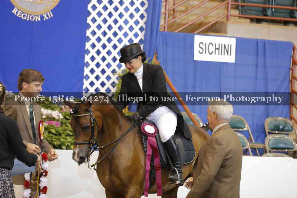 Proof 15R12_04274
