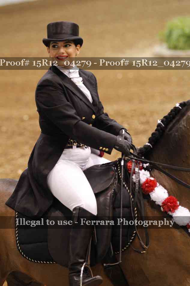 Proof 15R12_04279
