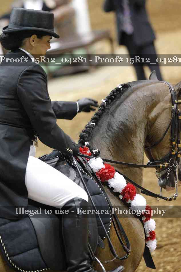 Proof 15R12_04281
