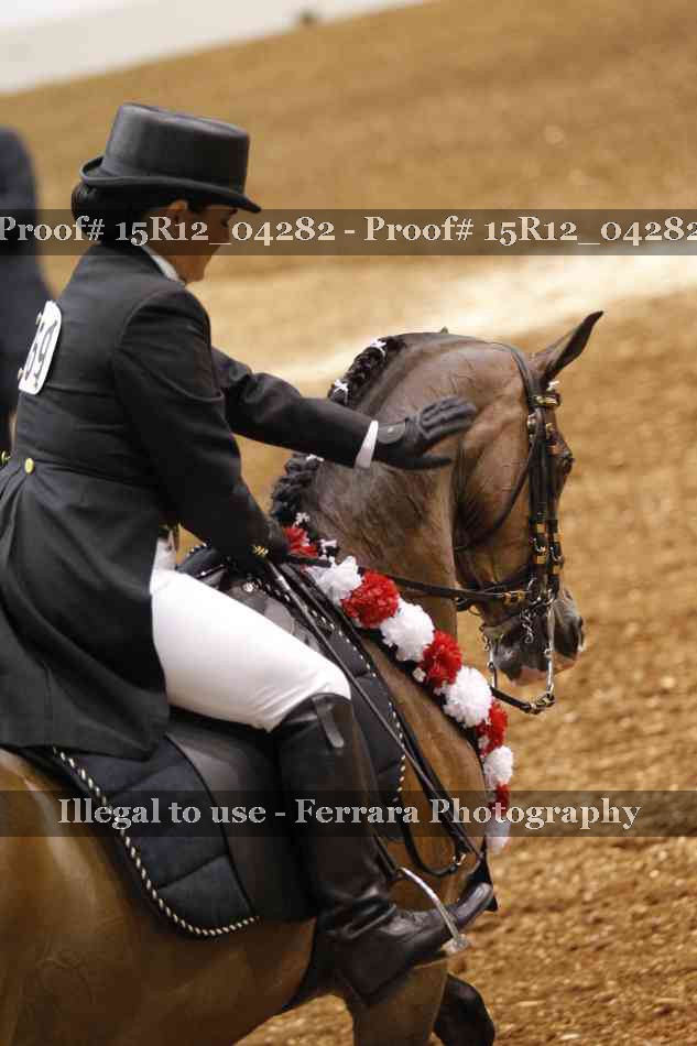 Proof 15R12_04282