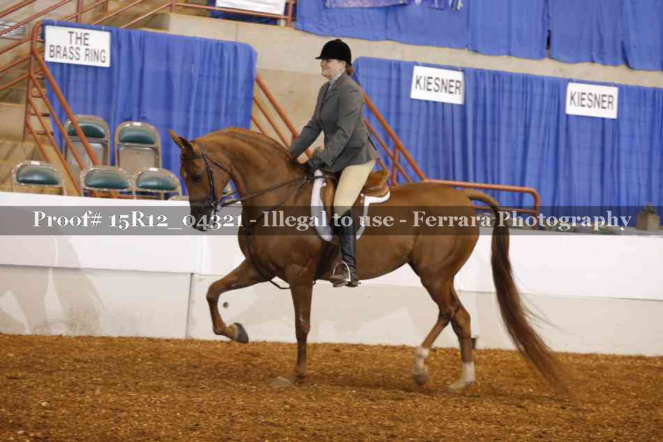 Proof 15R12_04321