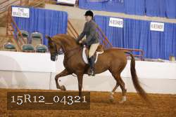 15R12_04321 proof