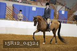 15R12_04324 proof