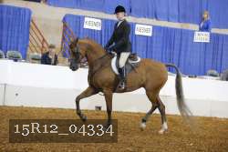 15R12_04334 proof