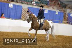 15R12_04336 proof