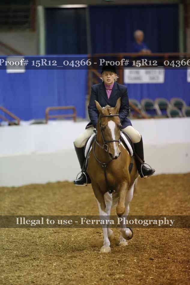 Proof 15R12_04366
