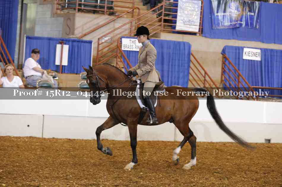 Proof 15R12_04442