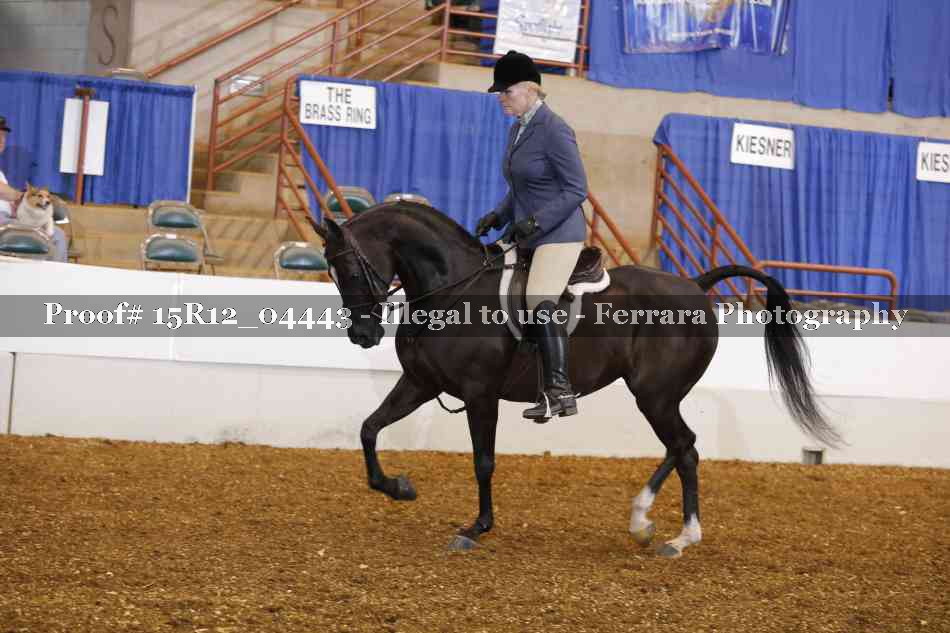 Proof 15R12_04443
