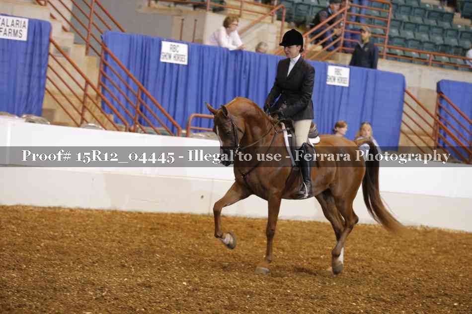 Proof 15R12_04445
