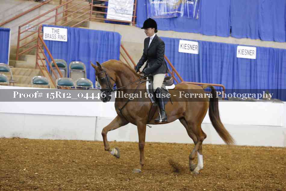 Proof 15R12_04446