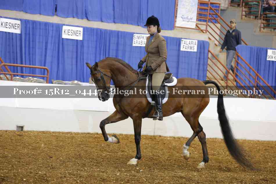 Proof 15R12_04447