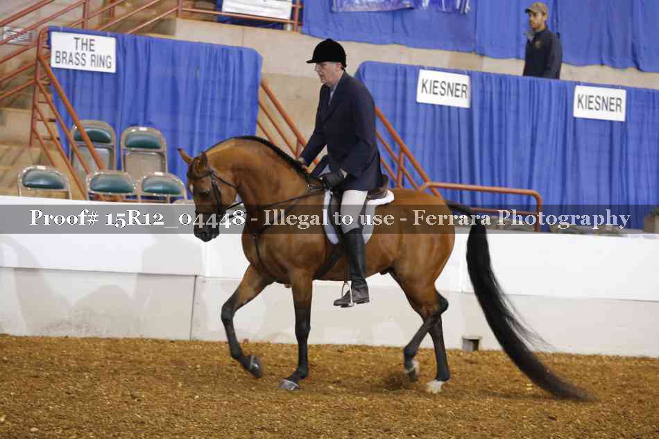 Proof 15R12_04448