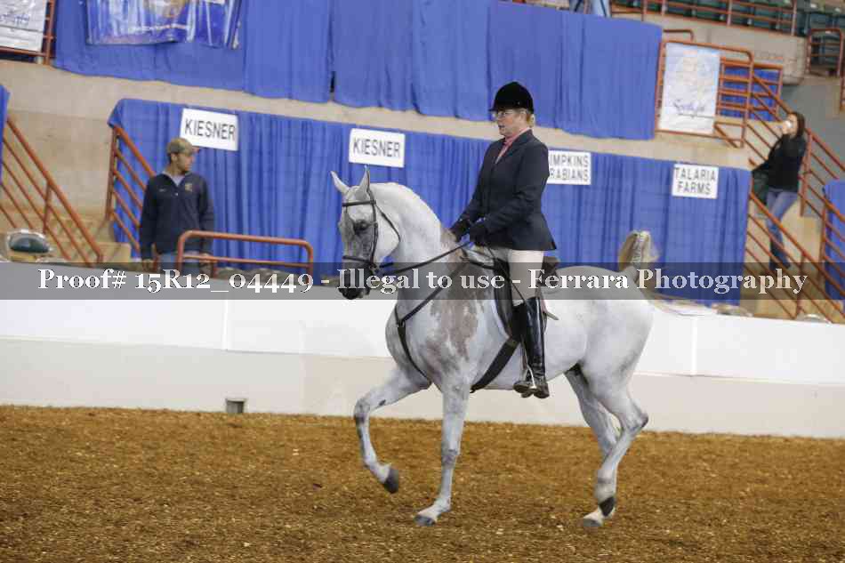 Proof 15R12_04449