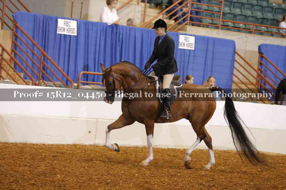 Proof 15R12_04450