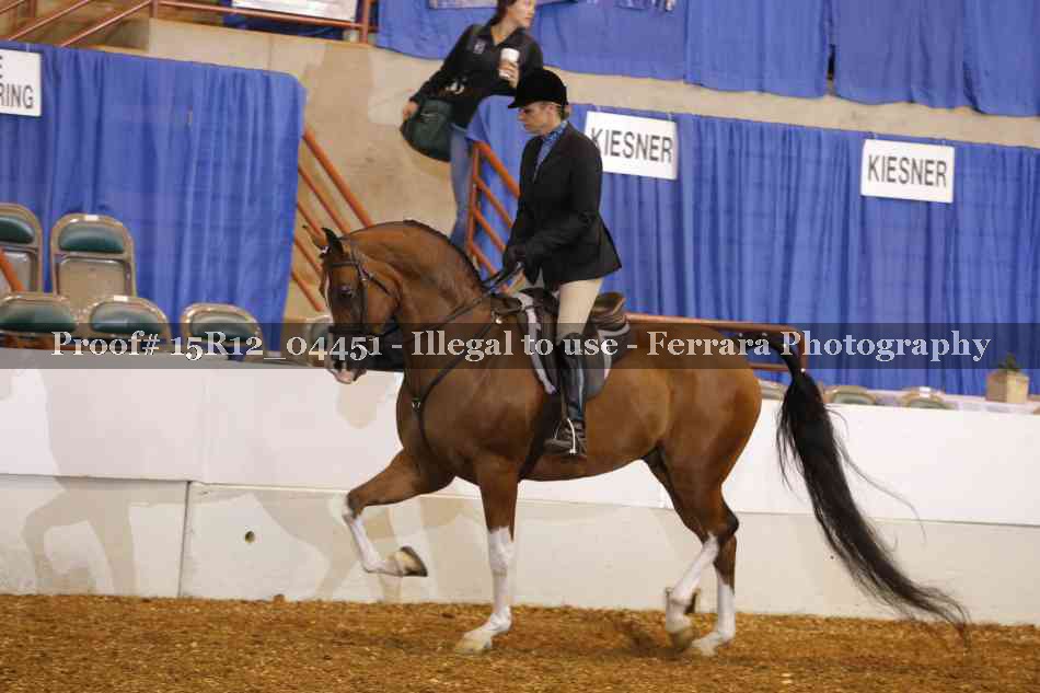 Proof 15R12_04451