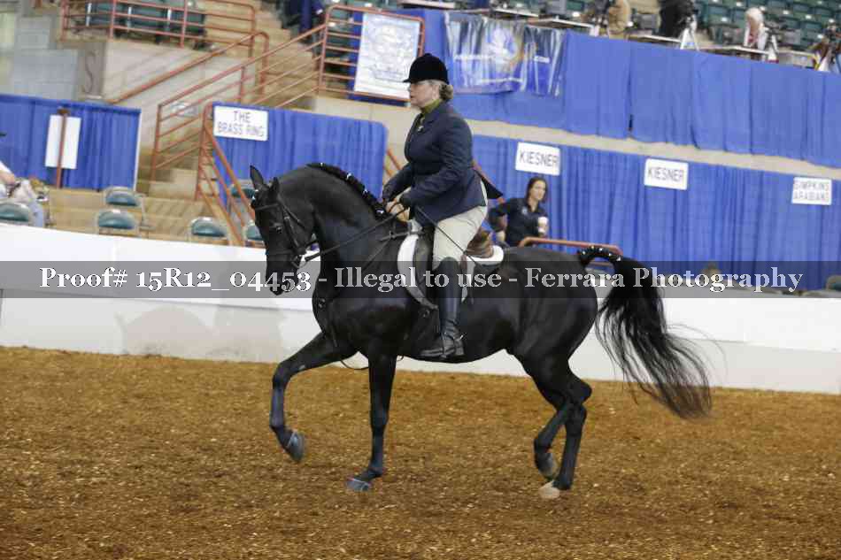 Proof 15R12_04453