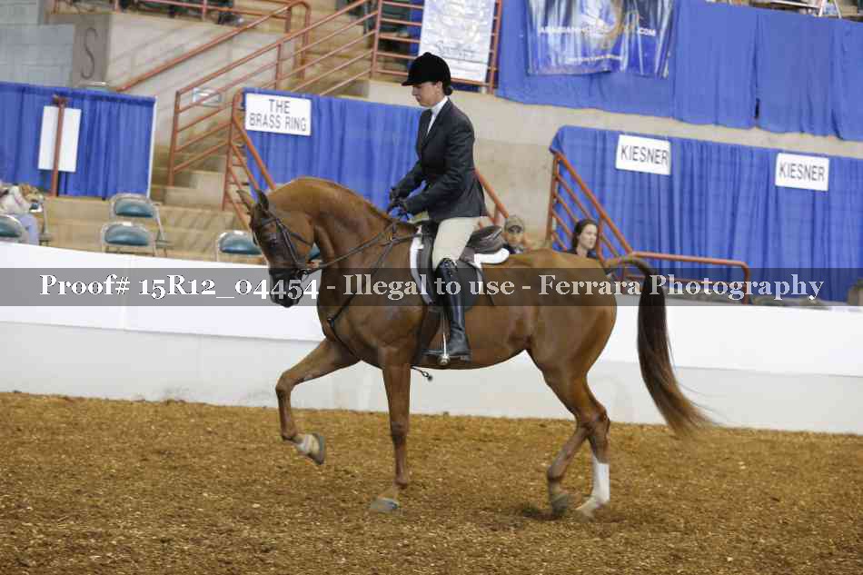 Proof 15R12_04454