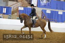 15R12_04454 proof