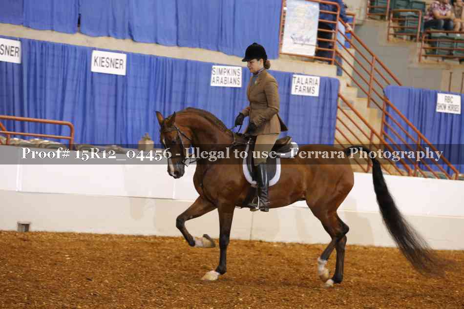 Proof 15R12_04456