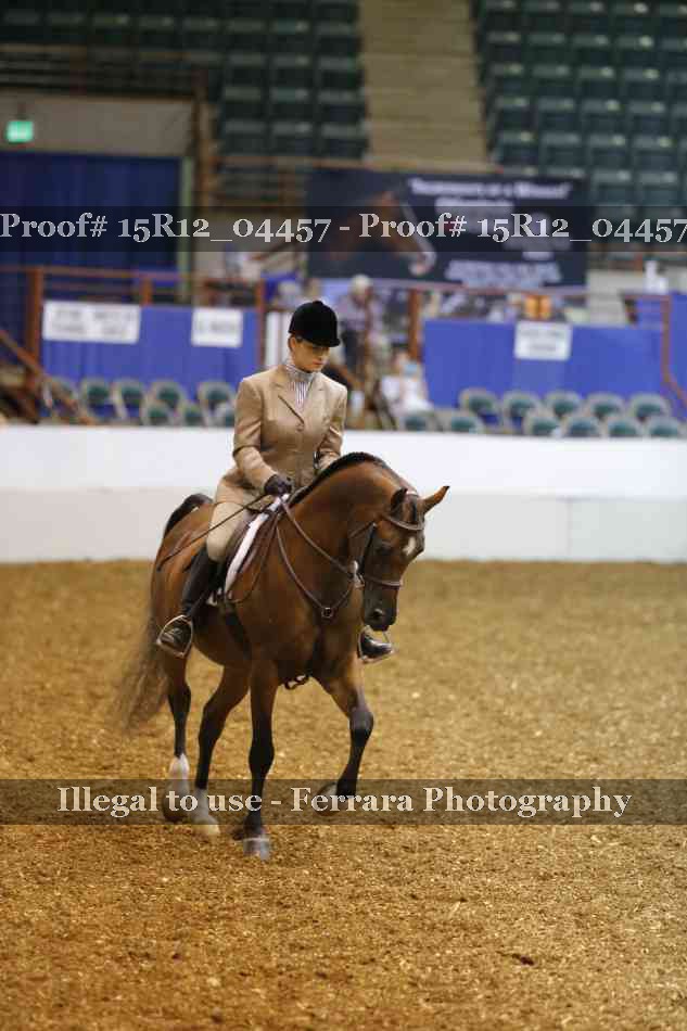 Proof 15R12_04457