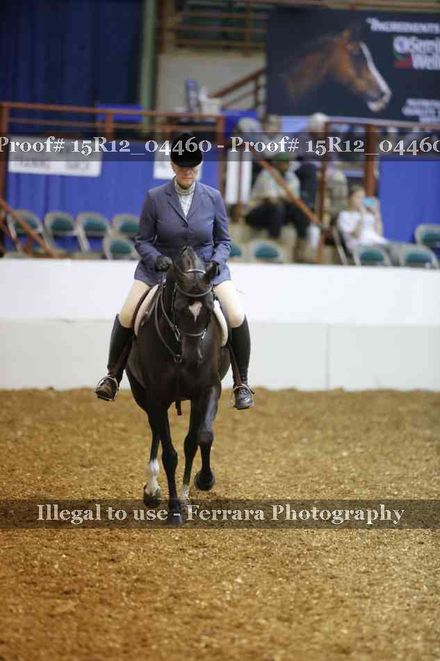 Proof 15R12_04460