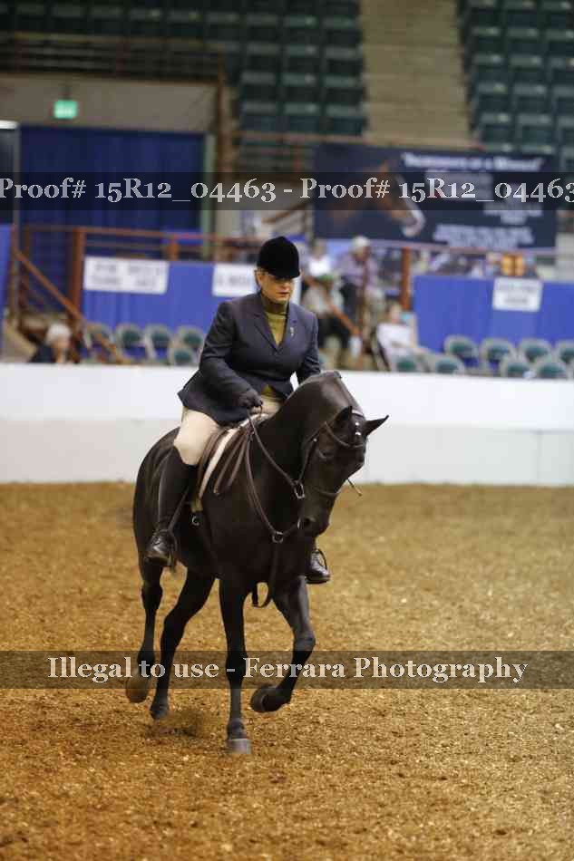 Proof 15R12_04463