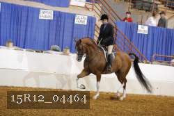 15R12_04464 proof