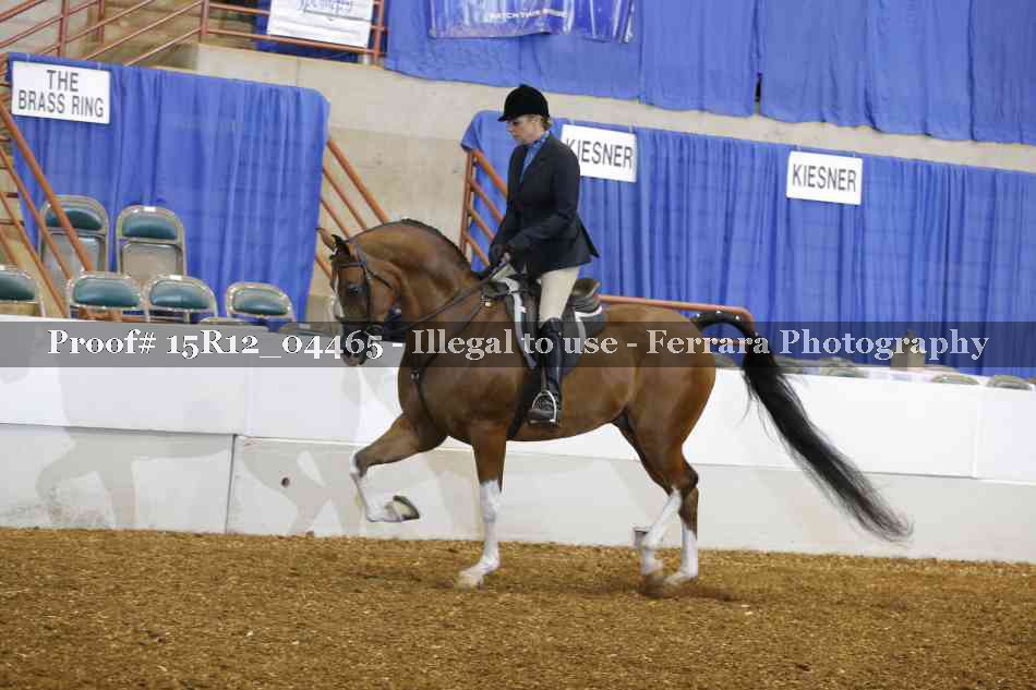 Proof 15R12_04465