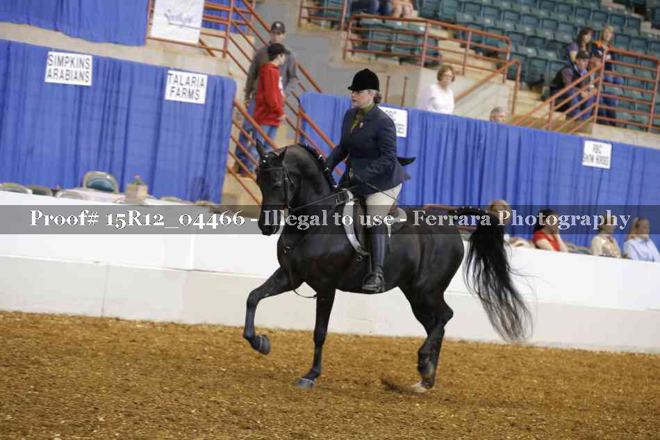 Proof 15R12_04466