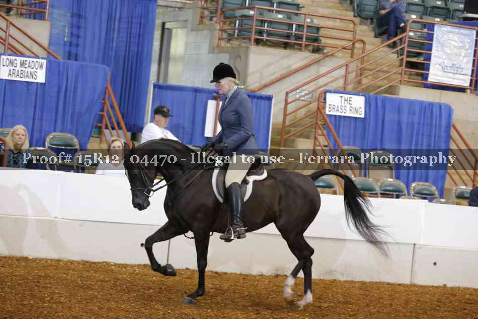Proof 15R12_04470