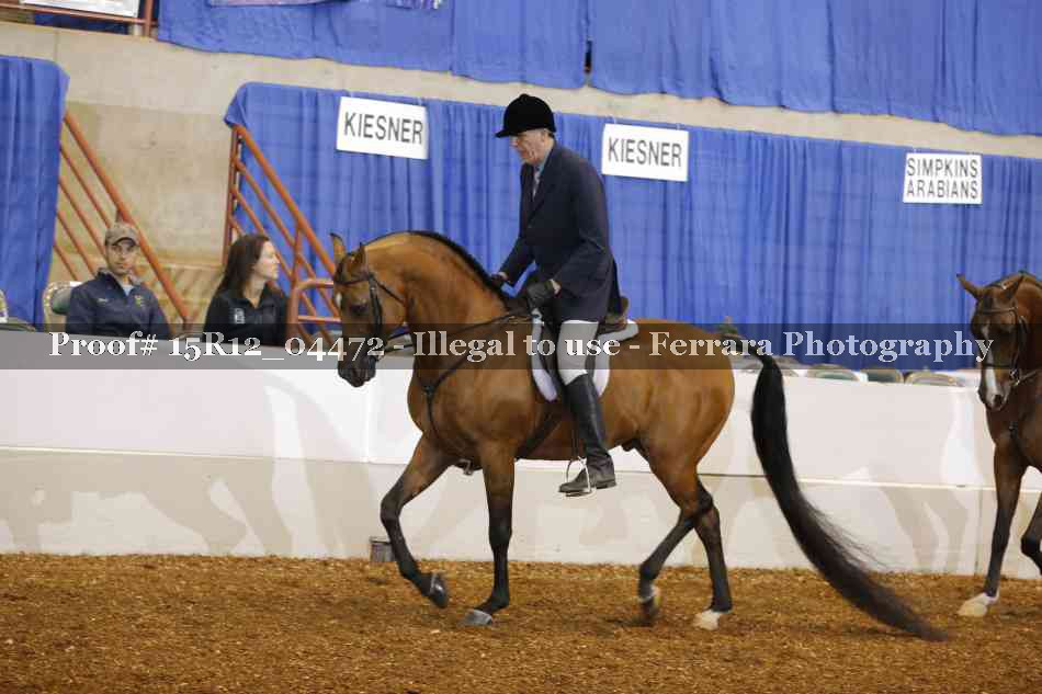 Proof 15R12_04472