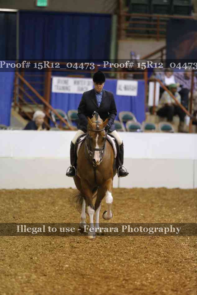 Proof 15R12_04473