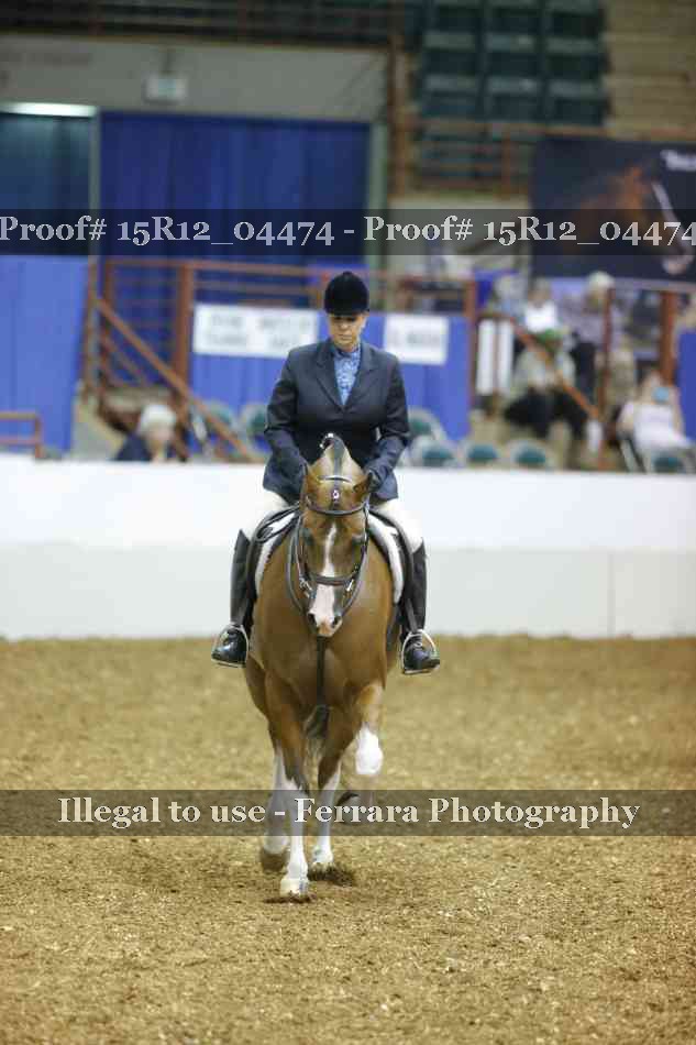 Proof 15R12_04474