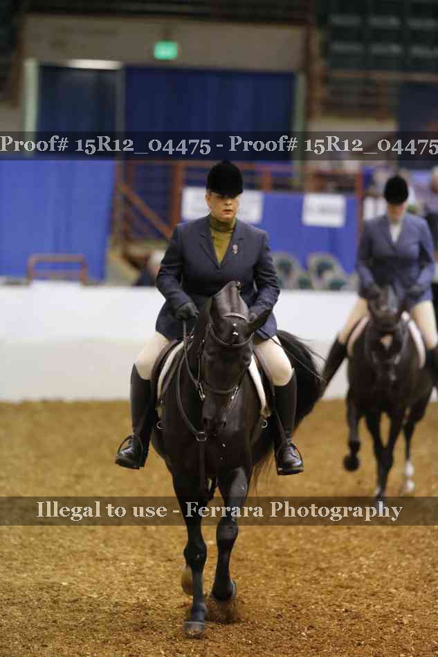 Proof 15R12_04475